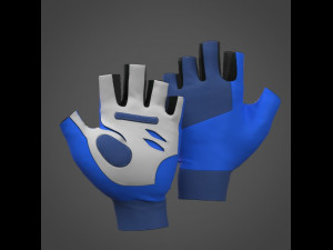 Fitness Gloves Modelo 3D