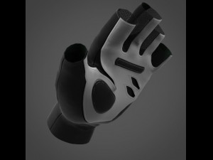 Fitness Gloves Modelo 3D