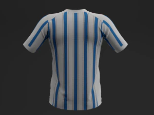 Custom Jersey 1 3D Model