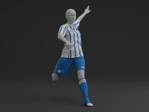 Custom Jersey 1 3D Model