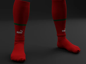 Morocco 2022 Home 3D Model