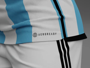 Argentina 2022 Home Kit 3D Model