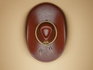 Cowboy Hat 3D Model