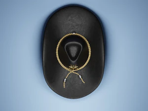 Cowboy Hat 3D Model