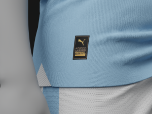 Manchester City 2024 3D Model