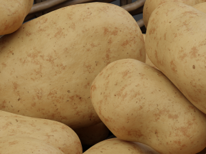 Potato Modelo 3D
