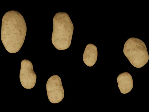 Картопля 3D Модель