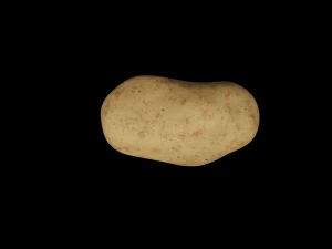 Картопля 3D Модель