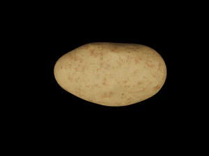 Картопля 3D Модель