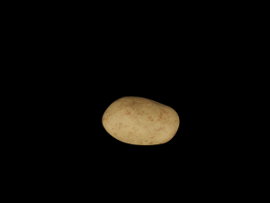 Potato Modelo 3D