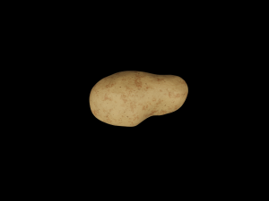 Potato Modelo 3D