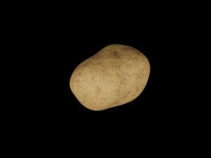 Potato Modelo 3D