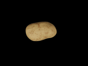 Potato Modelo 3D