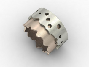 ring des Modelo 3D