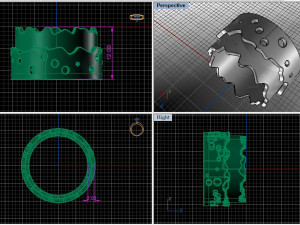 ring des Modèle 3D