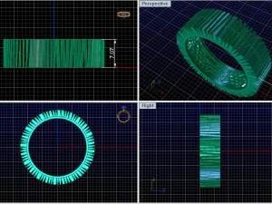 anello a forma libera Modello 3D