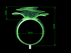 ring Model Cetak 3D