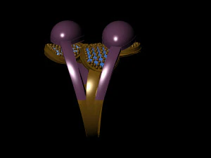 anel Modelo de Impressão 3D