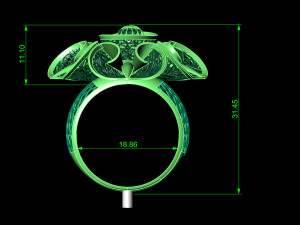 ring 3D 打印模型