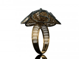 ring Model do druku 3D
