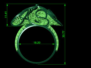 반지 3D 프린트 모델