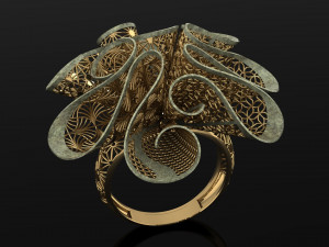 ring 3D 打印模型