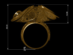 ring 3D 打印模型