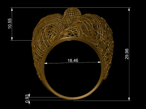 ring 3D-printmodel