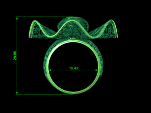 ring 3D Print Model