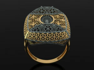 ring 3D Print Model
