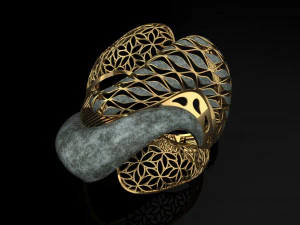 Ring 3D Druckmodell