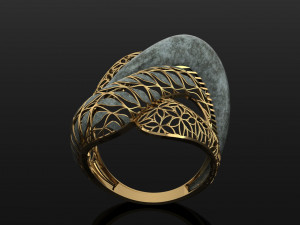 ring 3D 打印模型