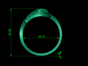 ring 3D Print Model