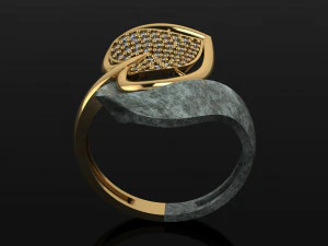 Ring 3D Druckmodell