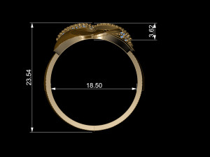 ring 3D Print Model