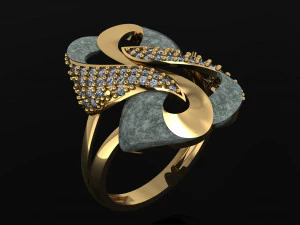 Ring 3D Druckmodell