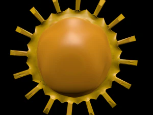 reydu 3D Model