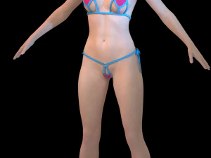 3 Clo3D -Zprj - OBJ -FBX 3D Model