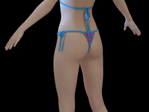 3 Clo3D -Zprj - OBJ -FBX 3D Model