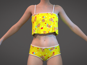 1 Clo3D -Zprj - OBJ -FBX 3D 模型
