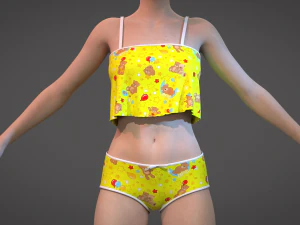 1 Clo3D -Zprj - OBJ -FBX 3D Model
