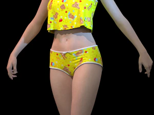 1 Clo3D -Zprj - OBJ -FBX 3D Model