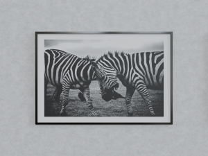 collection of paintings Model 3D