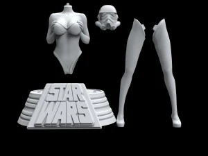 stormtrooper from star wars 3d print model 3D Print Model