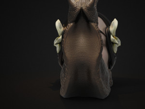 horror snail 3d print model 3D Принт Модель