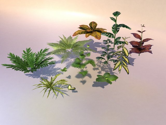 set of plant tropic 3D 模型 .c4d .max .obj .3ds .fbx .stl .blend 