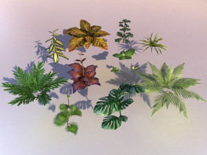 set of plant tropic 3D 模型