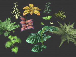 set of plant tropic 3D 模型
