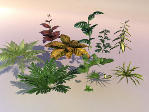 set of plant tropic 3D 模型