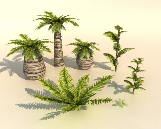 set of plant tropic palm 3D-Modell .c4d .max .obj .3ds .fbx .stl .blend 